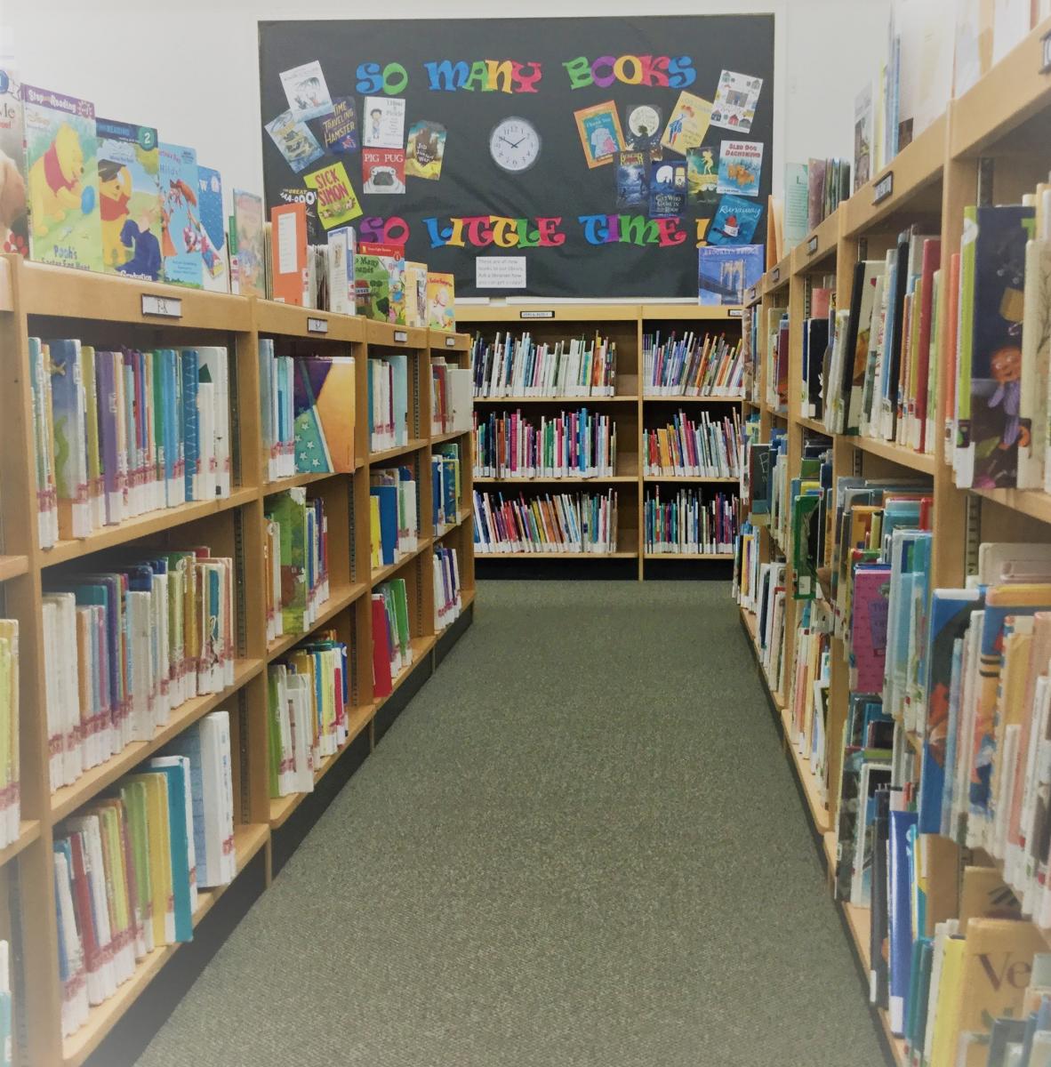 bookshelves in the childrens area